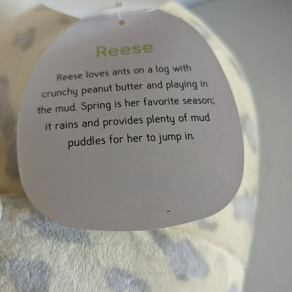 NWT 14" Reese Pig Hug Mees Squishmallows Farm Squad Plush Easter Spring Gift NEW - Picture 7 of 8